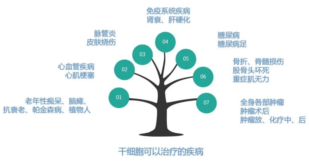 干細胞可以治療的疾病