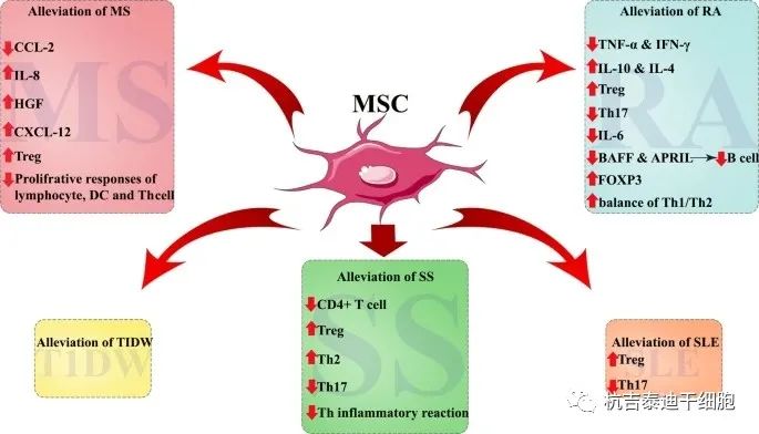干細(xì)胞治療改善自身免疫性病的指標(biāo)