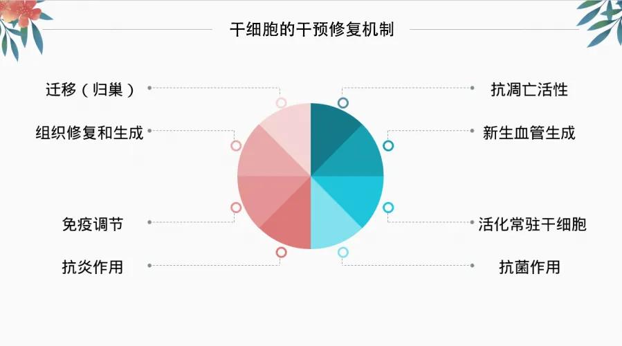 干細(xì)胞治療疾病的原理