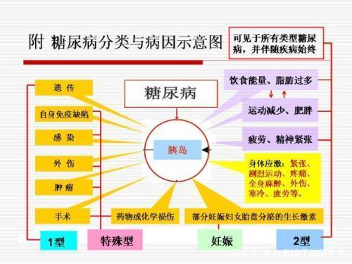 糖尿病分類與病因示意圖