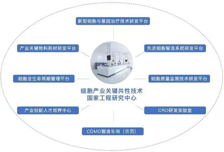 新型細(xì)胞與基因治療技術(shù)研發(fā)平臺(tái)