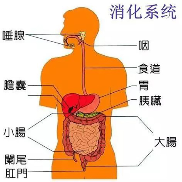 圖片57-1.jpg