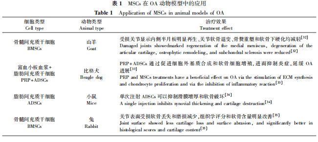 干細(xì)胞在骨關(guān)節(jié)炎動(dòng)物模型中的應(yīng)用