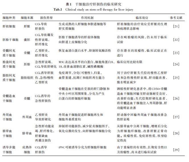 干細(xì)胞治療肝損傷的臨床研究