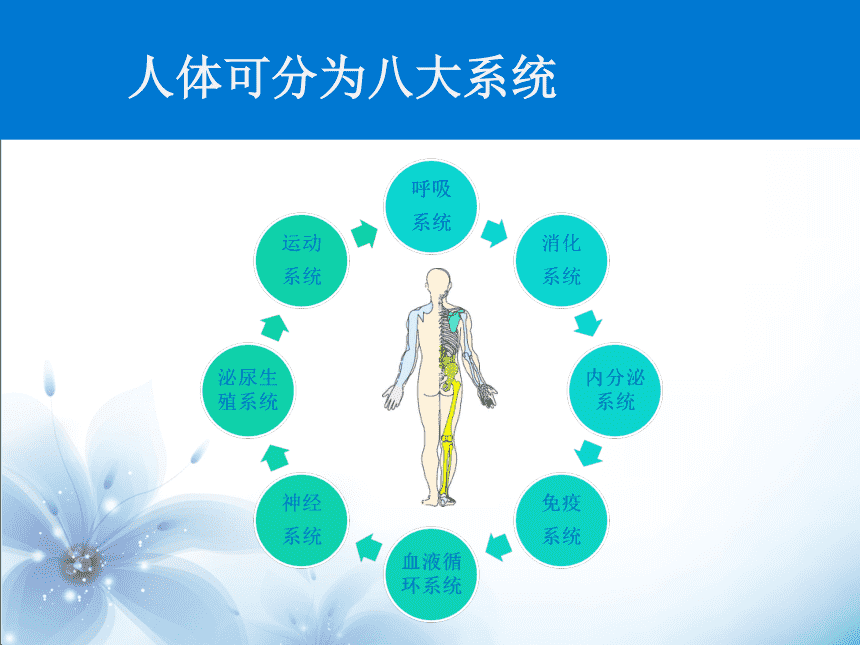 详解干细胞疗法如何保护人体八大系统