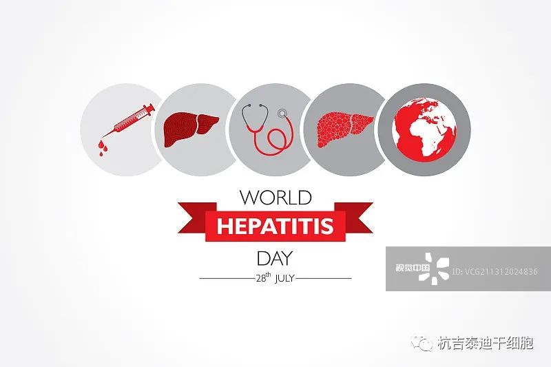 纪念世界肝炎日的海报或横幅