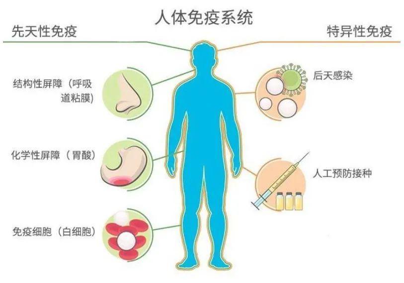 带你全面了解叉车电气元件图形符号大全