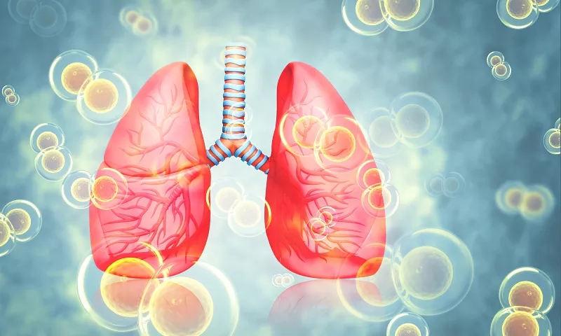 人类肺的科学背景