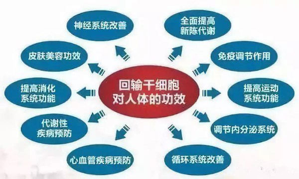 幹細胞療法的禁忌人群:艾滋病,乙肝活動期,梅毒病毒陽性;高度過敏體質