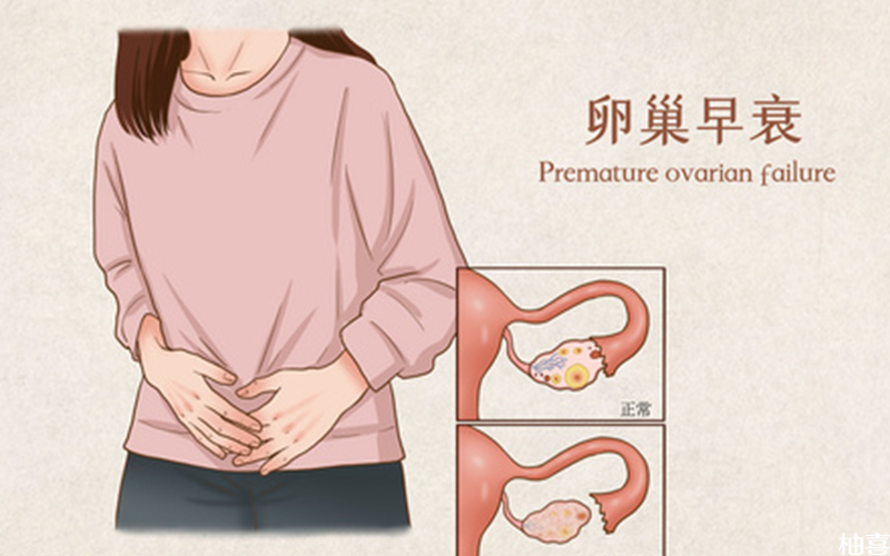 干细胞治疗干预修复卵巢早衰（10问10答）